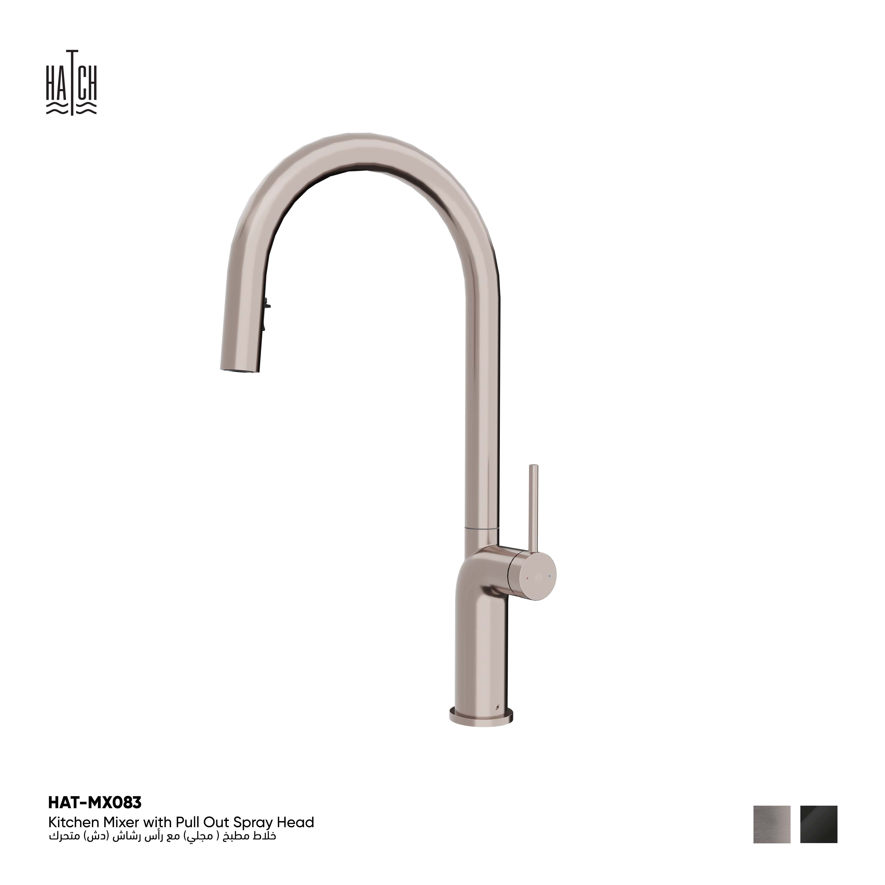 Kitchen Mixer with Pull Out Spray Head  