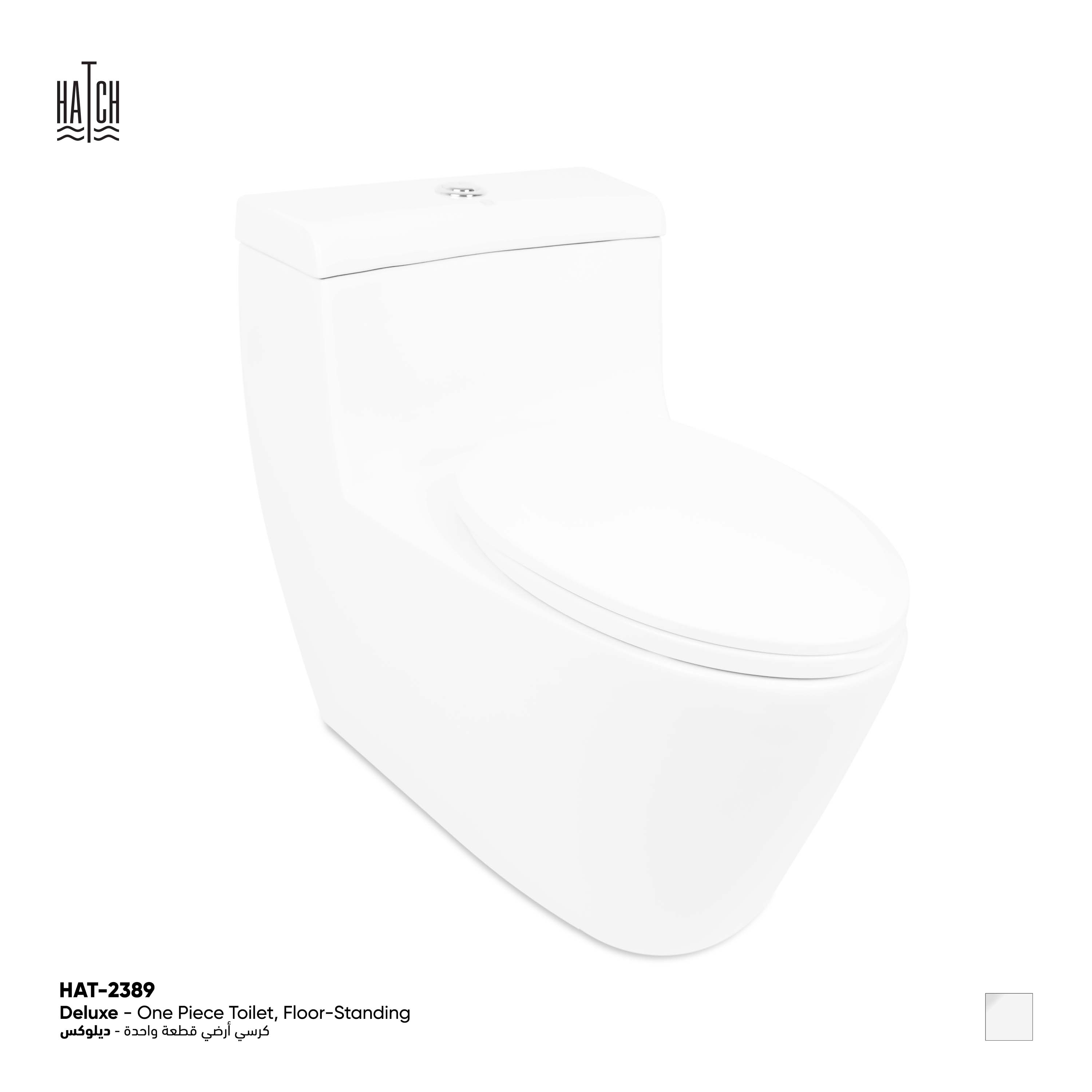 Deluxe One Piece Toilet Floor Mounted 