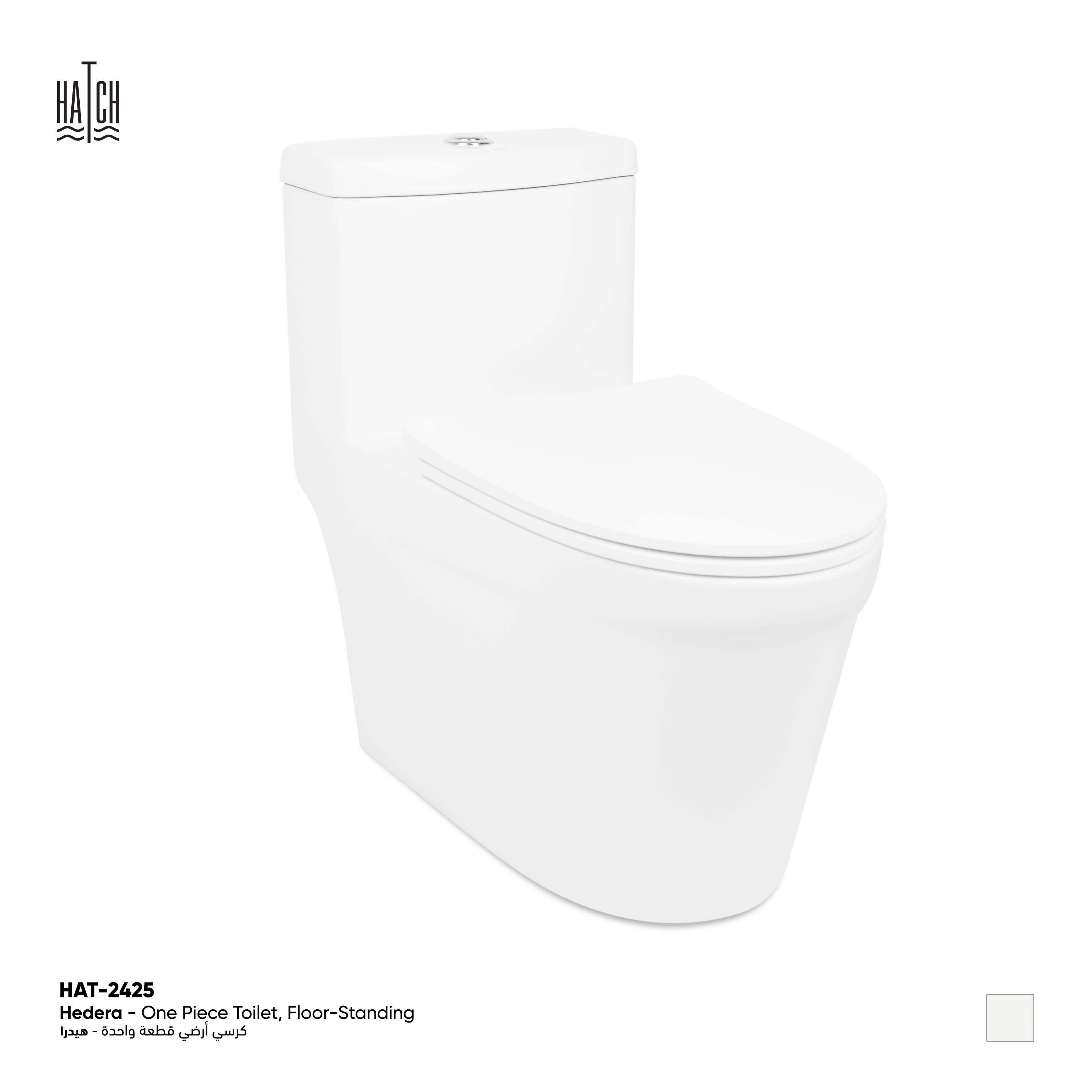 Hedera One Piece Toilet Floor Standing 